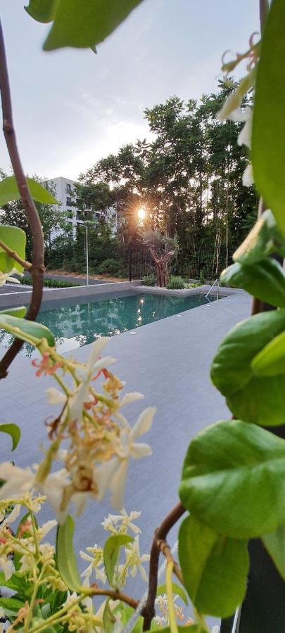 Luxury Apartment Stefanija ติวัต ภายนอก รูปภาพ